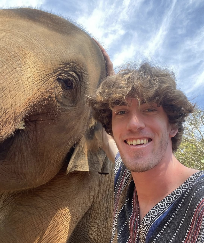 Baby Elephant