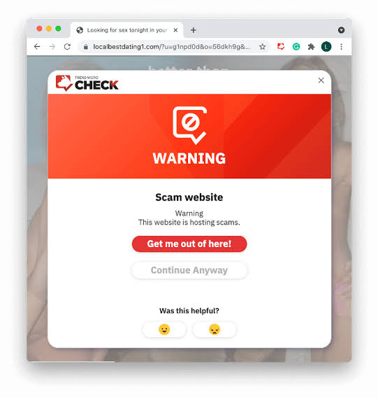 Fake low price scam site