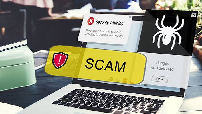 Scam website interface
